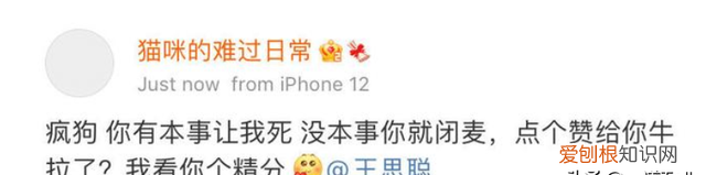 王思聪搂新女友逛街，身材曼妙三围傲人，网友直呼：快去请孙一宁