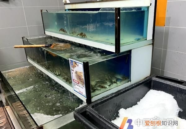 网上买的生鲜冰袋怎么处理