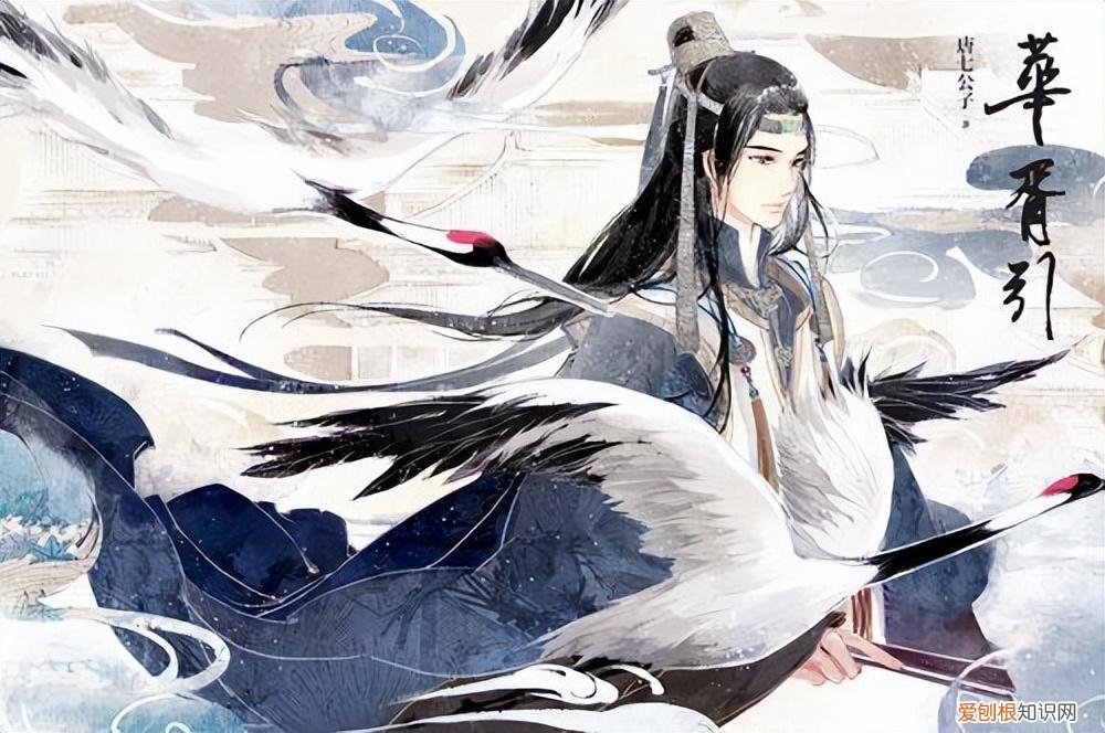 卿酒酒小说