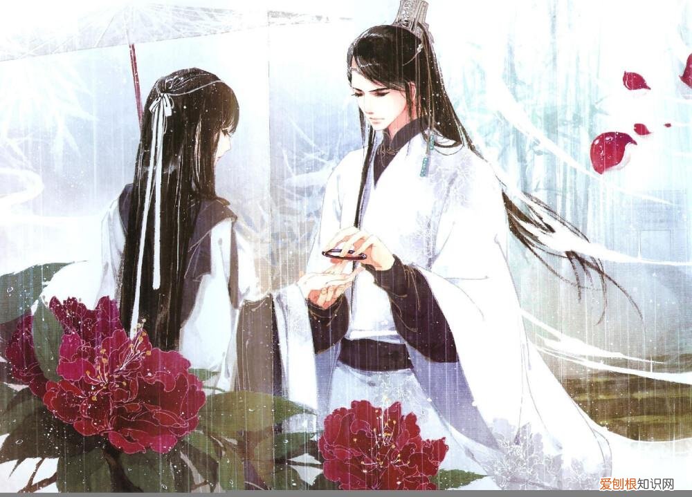 卿酒酒小说