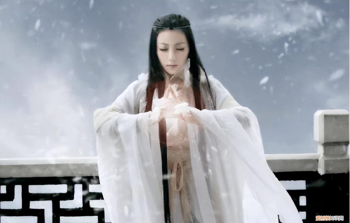 卿酒酒小说