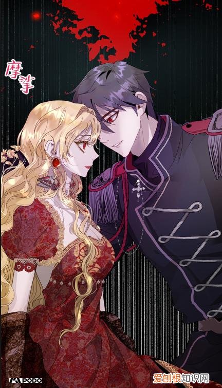守护女主的哥哥漫画