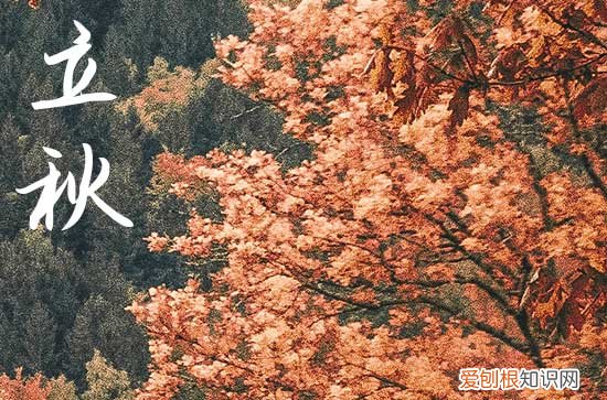 立秋发给女朋友52句情话