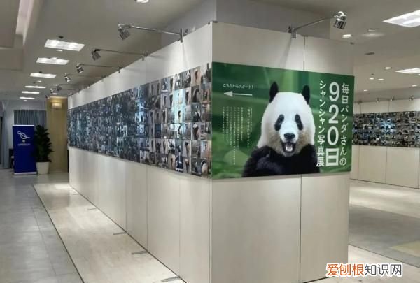 日本最受欢迎的中国女明星排行榜