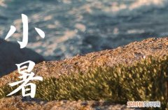 2023年小暑入伏热吗 小暑可以游泳吗