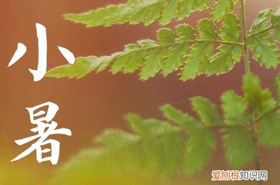 2023年小暑适合装修吗 要注意什么忌讳