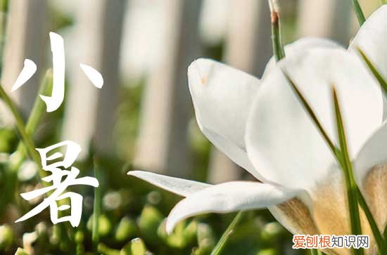 小暑大暑立秋哪个热 欢小暑是什么意思