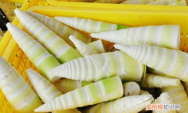 春笋焯水几分钟能熟，春笋焯水几分钟去除涩味