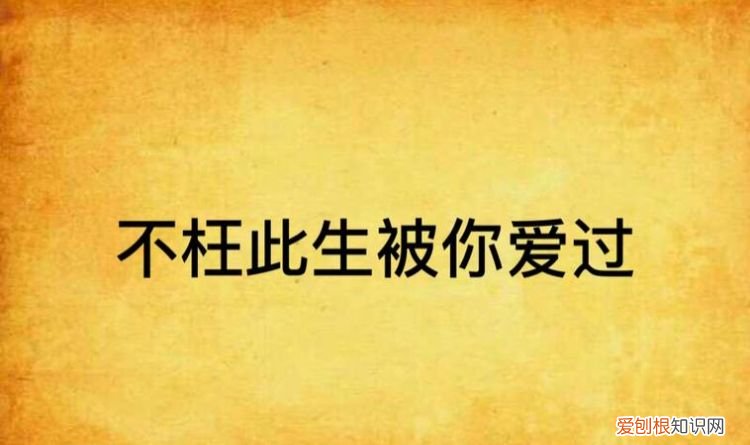 不枉此生下一句是什么