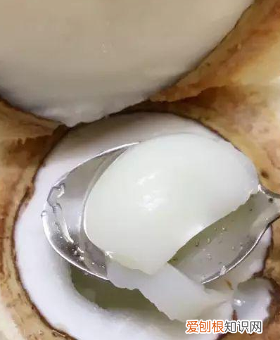 泰国椰青怎么吃，喝泰国椰青有什么功效