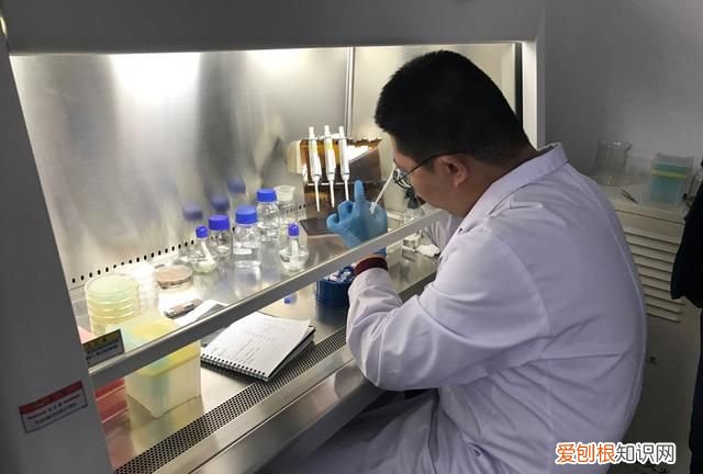 莫高窟保护管理工作包括 世界文化遗产,莫高窟