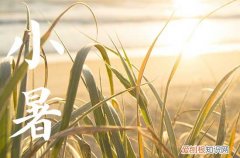 2023年小暑是几月几号 具体是几点几分几秒钟交节