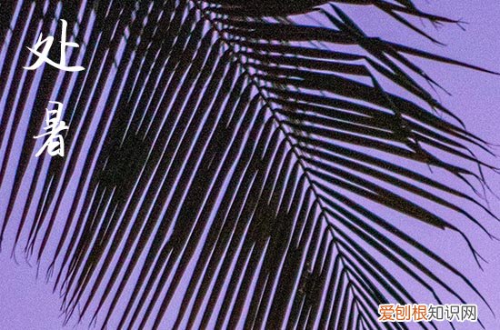 2023年处暑时间几点几分几秒钟