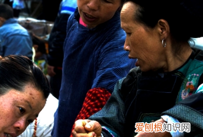 燕子赶集的意思是什么，燕子这一课的赶集是什么意思