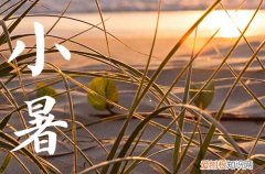 小暑是夏季第几个节气