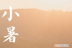 小暑为什么要吃藕