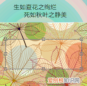 cdr咋滴才可以裁剪，cdr裁剪工具怎么用不了