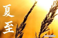 今天几点夏至2023,今日几点钟夏至