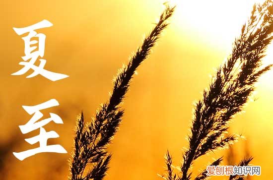 今天几点夏至2023,今日几点钟夏至