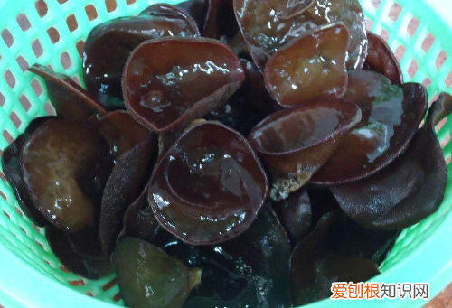 豆腐的做法比肉还好吃，豆腐点不起来原因在哪