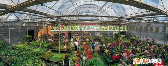 2020年广州花市在哪几个地方