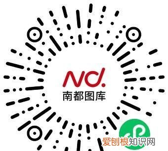 2020年广州花市在哪几个地方