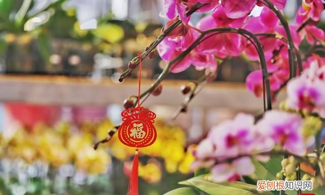 2020年广州花市在哪几个地方