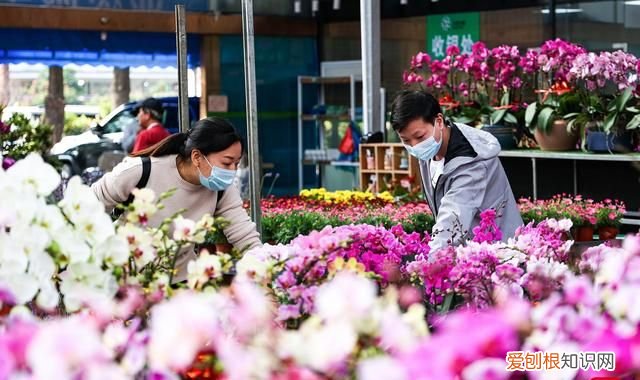 2020年广州花市在哪几个地方