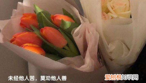 未经他人苦莫劝他人善的意思，未经他人苦莫劝他人善是什么意思