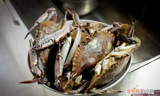 梭子蟹买多了怎么保存蒸熟还是?