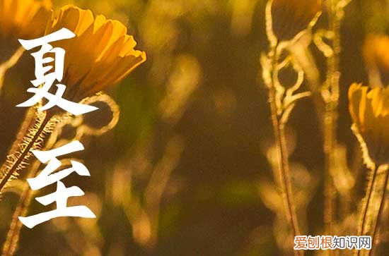 今天几点夏至 2023几点夏至