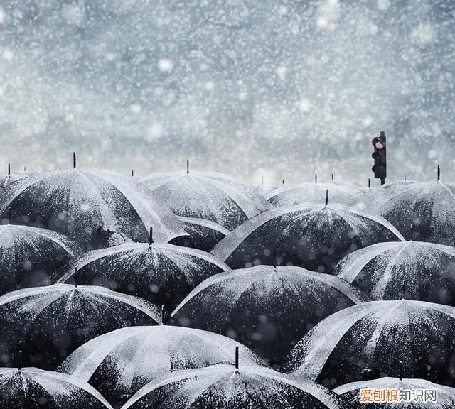 微信朋友圈被折叠怎么办?,微信朋友圈开启折叠功能