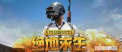 和平精英头像不显示怎么办，和平精英头像为什么显示不出来