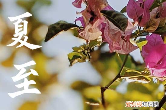 今天是夏至吗 2023年夏至准确时间