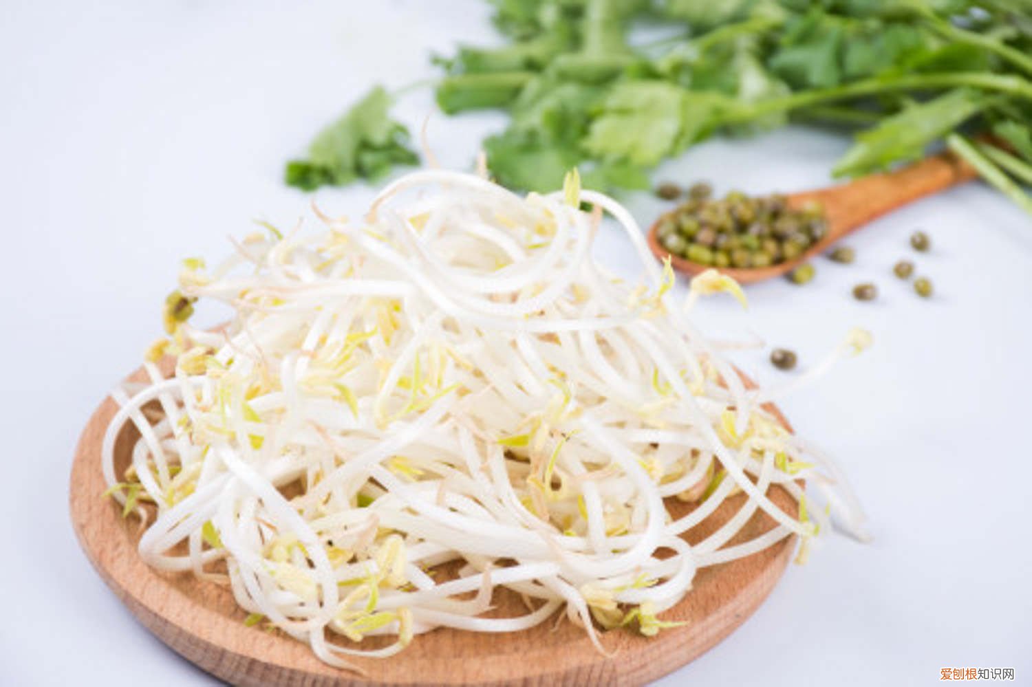 怎么生豆芽最简单的方法 怎么生豆芽，有什么注意事项
