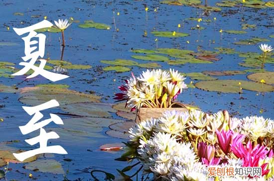 夏至是2023几点几秒到来 今年夏至具体时间表