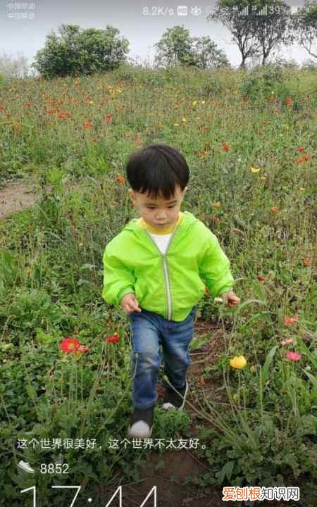 如何让手机屏幕显示步数，锁屏运动步数显示怎么设置华为