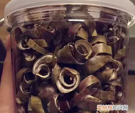 百香果皮和什么炒好吃 百香果皮的吃法和做法窍门