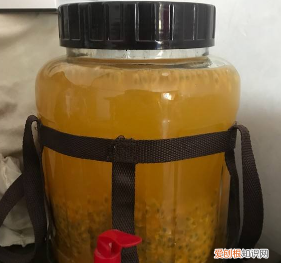 百香果皮和什么炒好吃 百香果皮的吃法和做法窍门