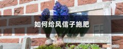 风信子可以施复合肥吗 风信子施肥方法，用什么肥好