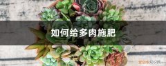 多肉最好的施肥方法 多肉施肥方法，用什么肥好