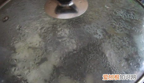 熬梨汤用什么梨，熬汤喝的梨是什么梨