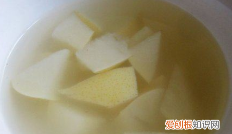 熬梨汤用什么梨，熬汤喝的梨是什么梨