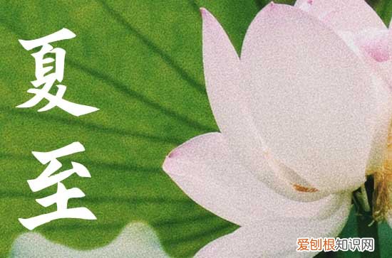 2023年夏至准确时间几点,夏至是几月几日几时几秒