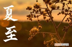 2023年夏至这一天应该吃什么