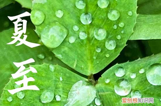2023年夏至是入伏吗