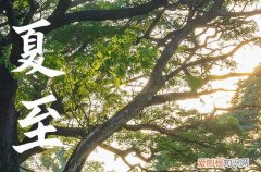 几号夏至2023