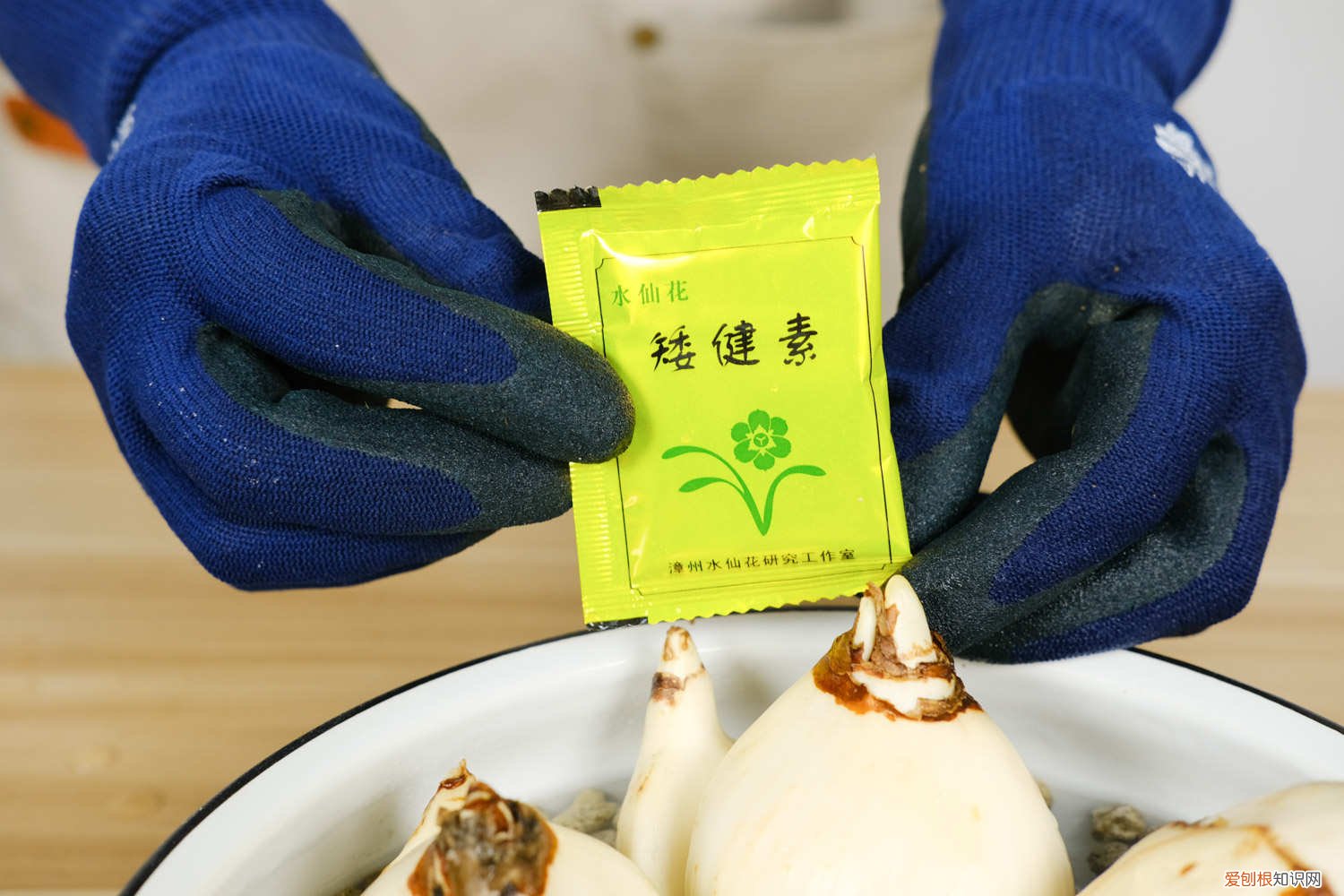 水仙花的养殖方法水培放多少水 水养水仙花的养殖方法，多久换一次水