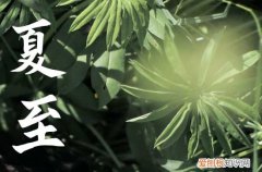 今天夏至是几月几号2023