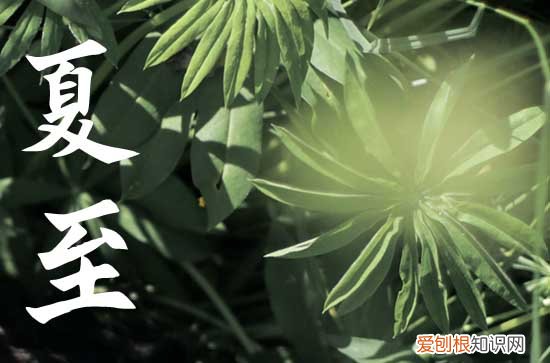 今天夏至是几月几号2023
